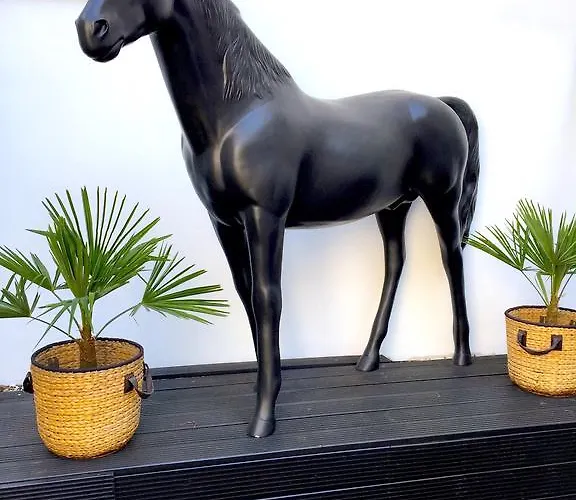 酒店 维兰德商务酒店 杜塞尔多夫